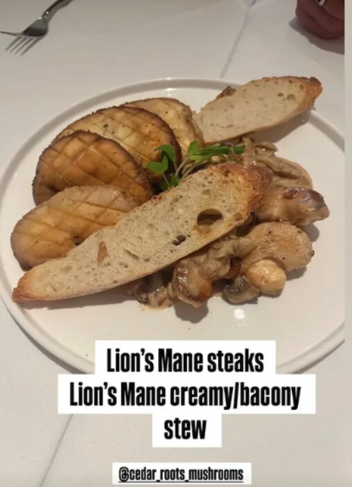 Lion's Mane steaks with creamy bacony stew